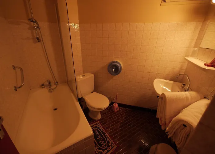 Le Relais De Gascogne 3* أوش