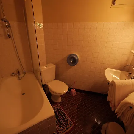 Le Relais De Gascogne 3* أوش